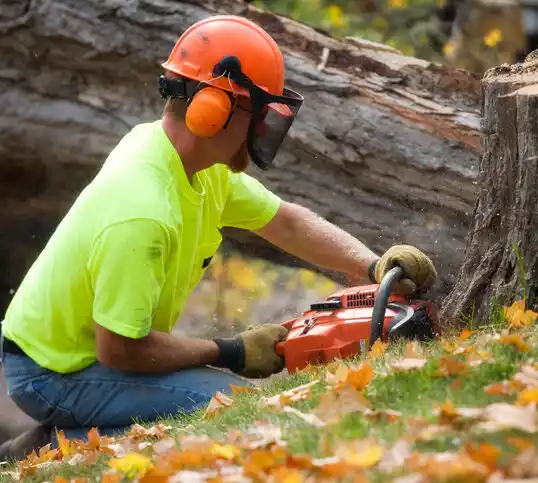 tree services Raeford